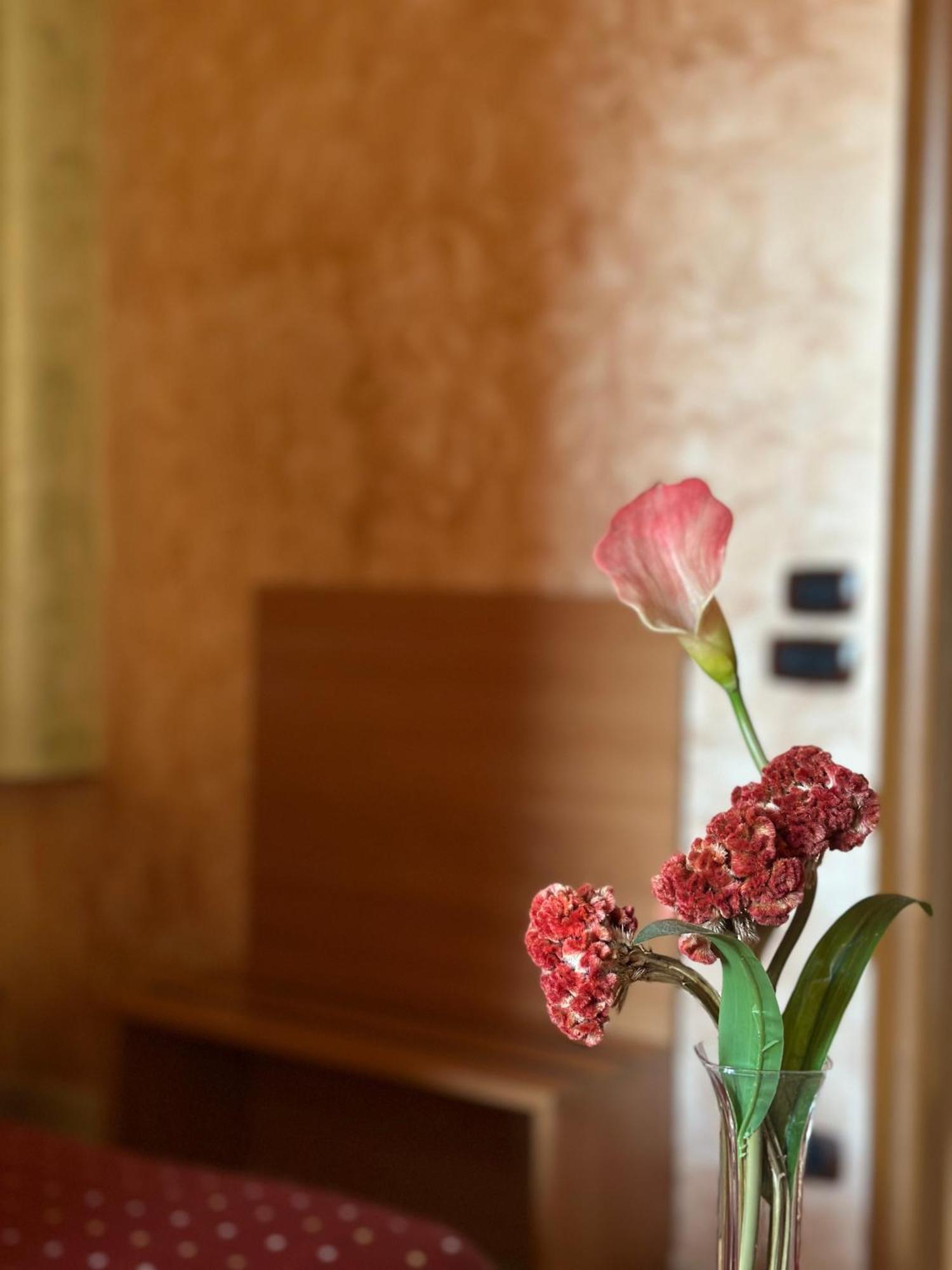 Hotel Il Giardino Degli Aranci โนลา ภายนอก รูปภาพ